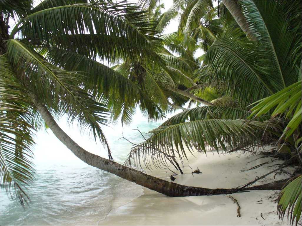 Galeria - Cocos Keeling - Chagos